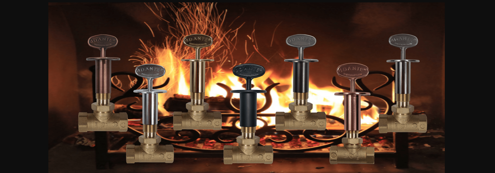 Dante - Vitalize Home