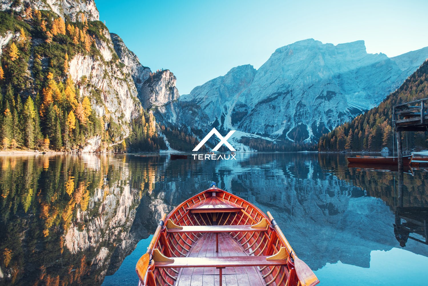 Tereaux - Vitalize Home