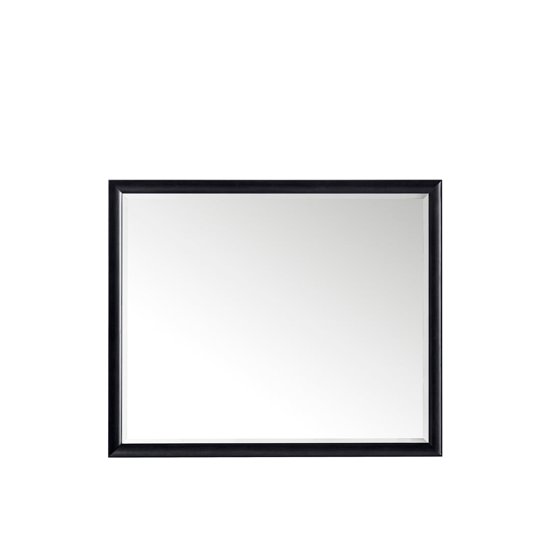 Glenbrooke 48" Mirror, Black Onyx