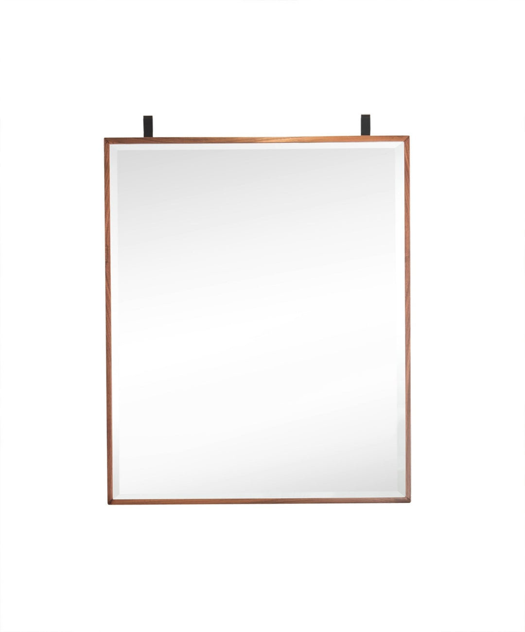 Lakeside 25" Medicine Cabinet Mirror, Mid-Century Walnut and Matte Black