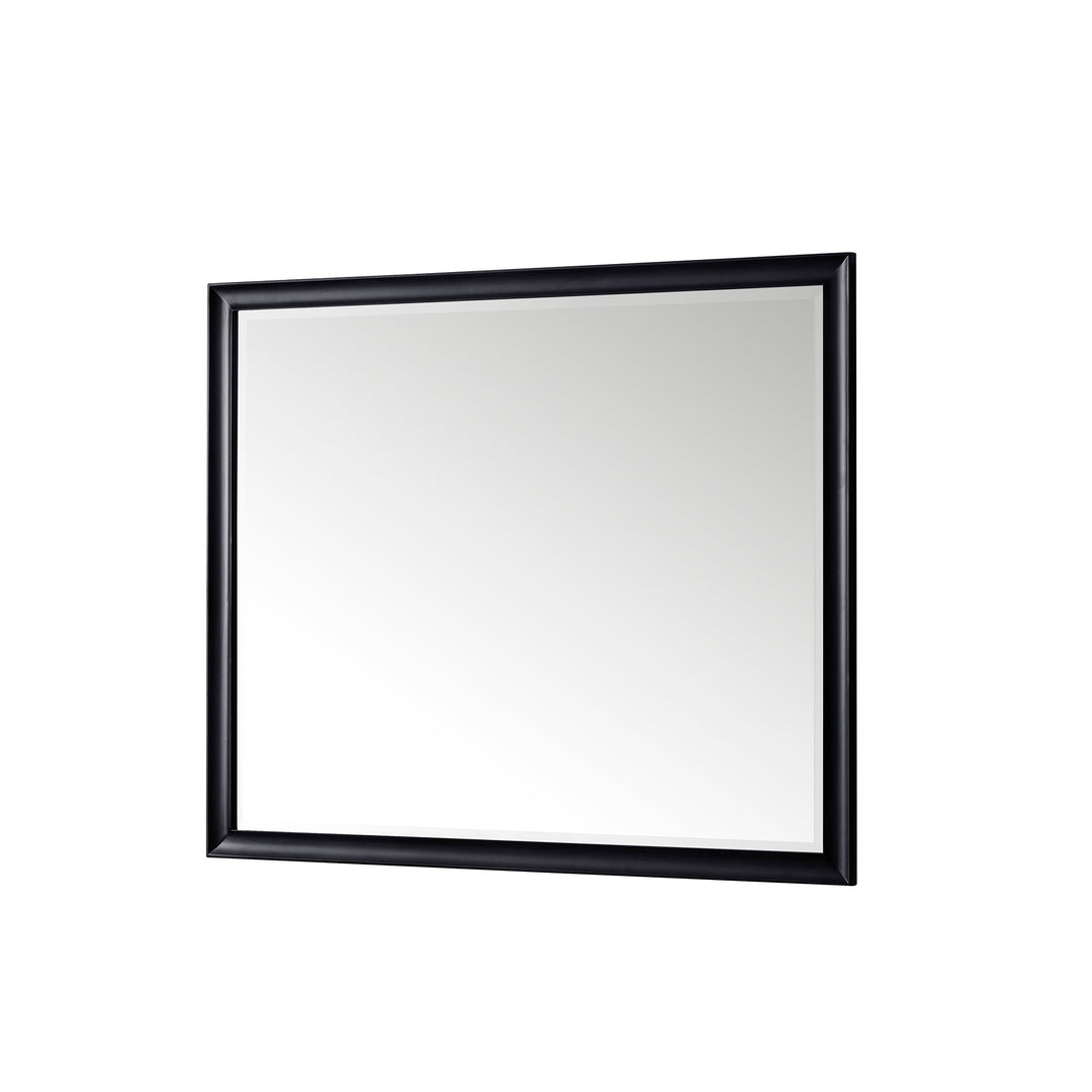 Glenbrooke 48" Mirror, Black Onyx