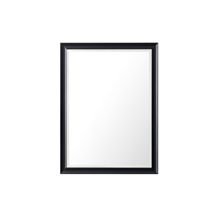 Glenbrooke 30" Mirror, Black Onyx