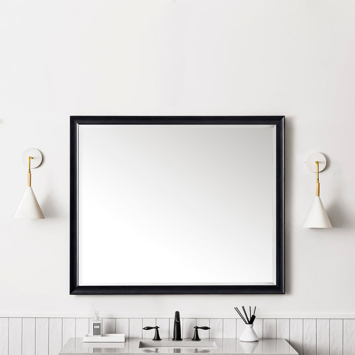Glenbrooke 48" Mirror, Black Onyx
