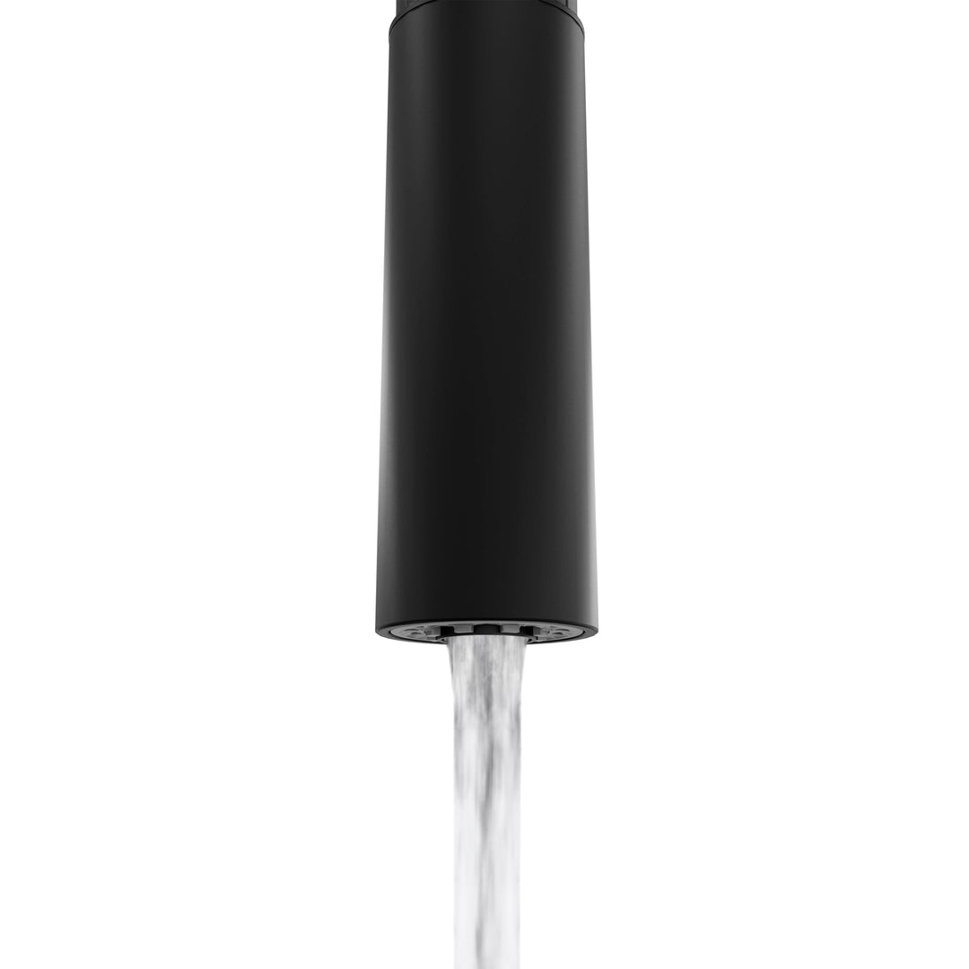 ZLINE Palisades Pull Down Single Handle Kitchen Faucet in Matte Black (RBCN1-KF-MB)