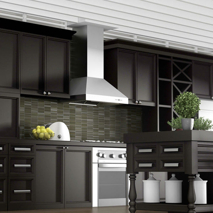 ZLINE 42 in. Professional Ducted Vent Wall Mount Range Hood in Stainless Steel (667-42)