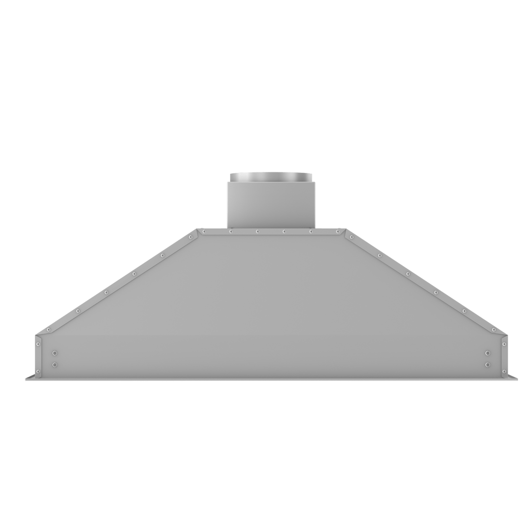 ZLINE 46" Ducted Wall Mount Range Hood Insert in Outdoor Approved Stainless Steel (695-304-46)