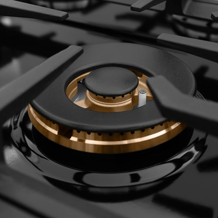 ZLINE 48 in. Classic Gas Rangetop with 8 Burners and Porcelain Cooktop in Black Stainless Steel (RTB2-48)