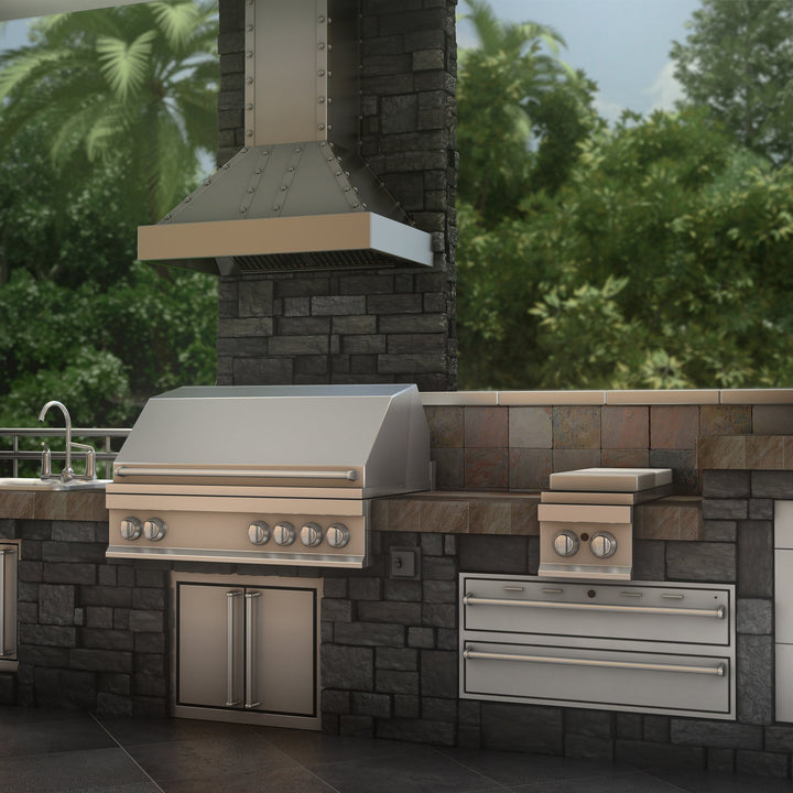 ZLINE 48 in. Ducted Vent Designer Series Wall Mount Range Hood in Satin Stainless Steel (655-4SSSS-48)