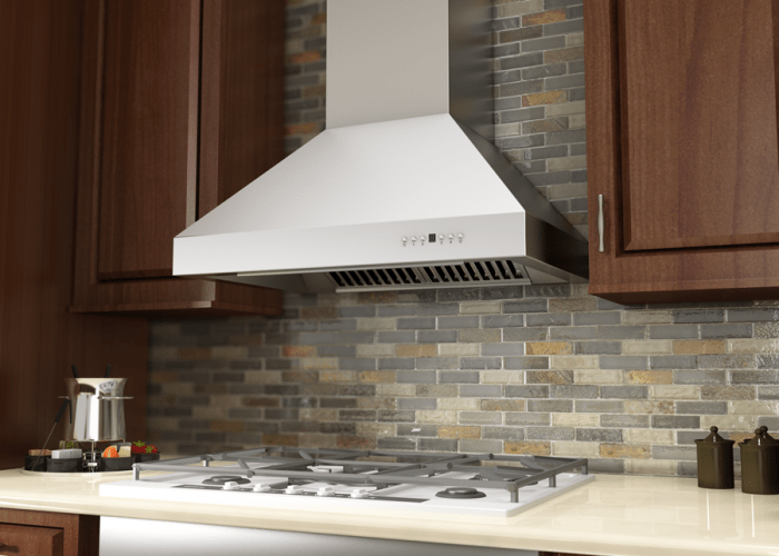 ZLINE 60 in. Professional Ducted Wall Mount Range Hood in Stainless Steel, 667-60