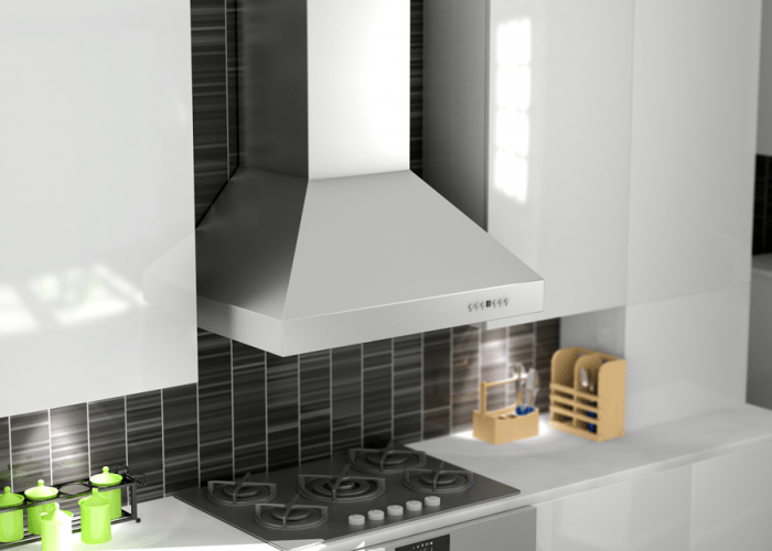 ZLINE 60 in. Professional Ducted Wall Mount Range Hood in Stainless Steel, 667-60