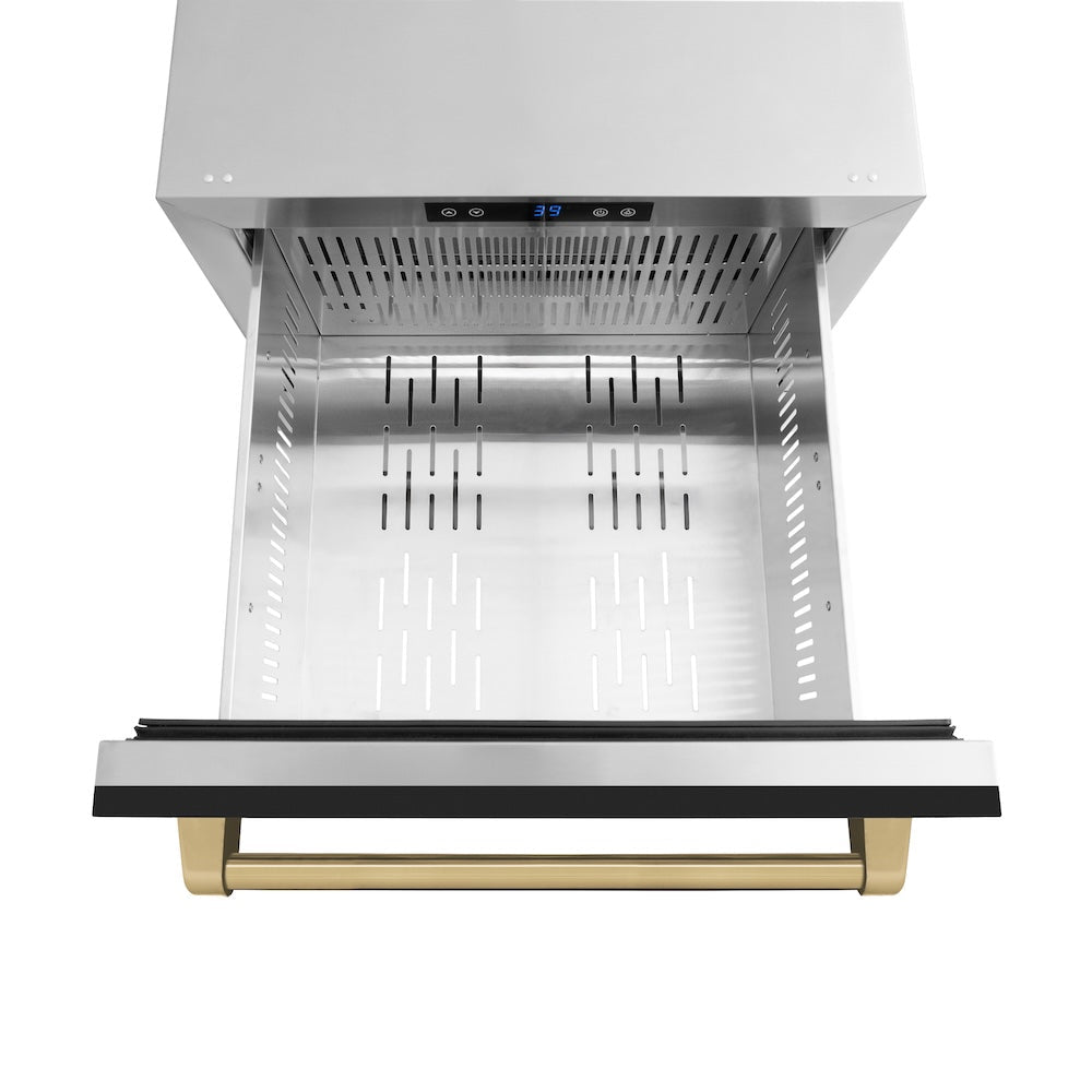 ZLINE Autograph Edition 24 in. Touchstone 168 Can Outdoor-Rated Dual Refrigerator Drawer with Black Matte Doors and Champagne Bronze Handles (RDSOZ-BLM-24-CB)