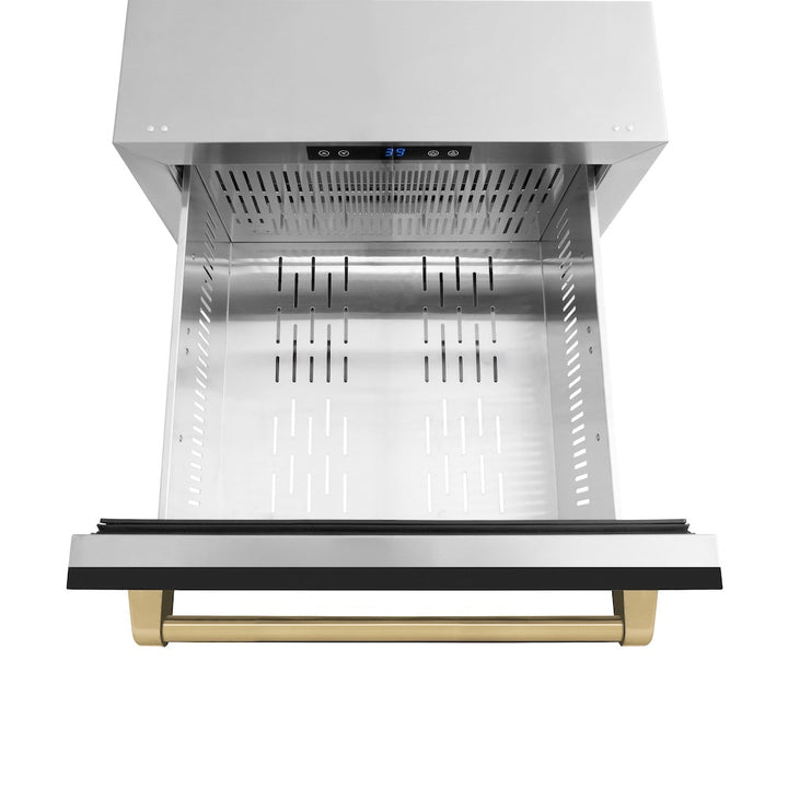 ZLINE Autograph Edition 24 in. Touchstone 168 Can Outdoor-Rated Dual Refrigerator Drawer with Black Matte Doors and Champagne Bronze Handles (RDSOZ-BLM-24-CB)