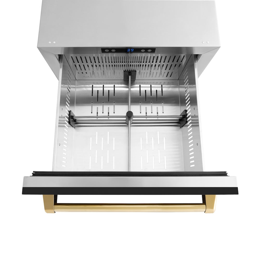 ZLINE Autograph Edition 24 in. Touchstone 168 Can Outdoor-Rated Dual Refrigerator Drawer with Black Matte Doors and Polished Gold Handles (RDSOZ-BLM-24-G)