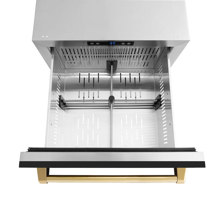ZLINE Autograph Edition 24 in. Touchstone 168 Can Outdoor-Rated Dual Refrigerator Drawer with Black Matte Doors and Polished Gold Handles (RDSOZ-BLM-24-G)