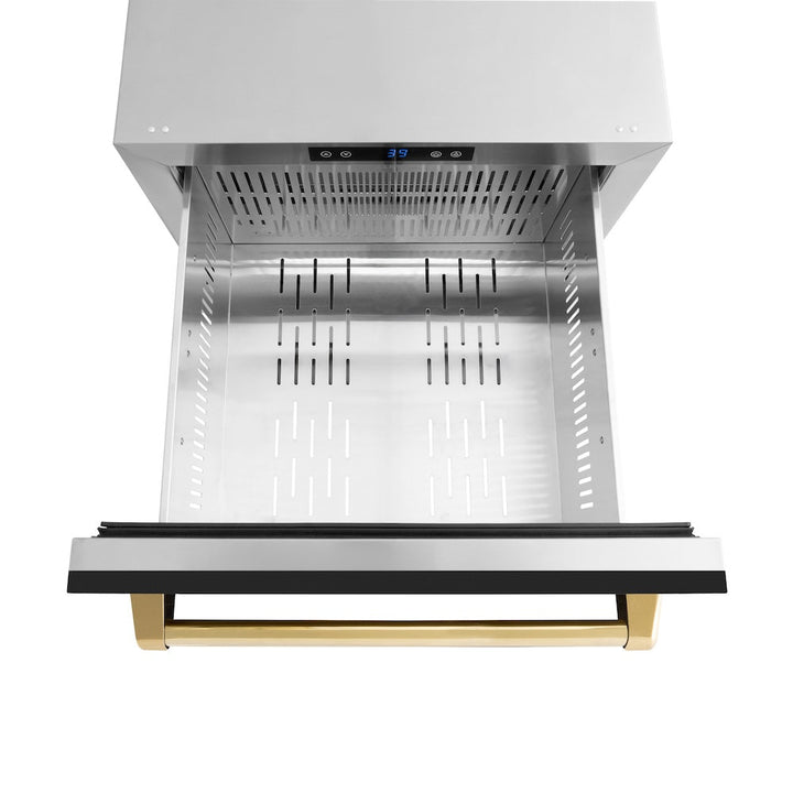 ZLINE Autograph Edition 24 in. Touchstone 168 Can Outdoor-Rated Dual Refrigerator Drawer with Black Matte Doors and Polished Gold Handles (RDSOZ-BLM-24-G)