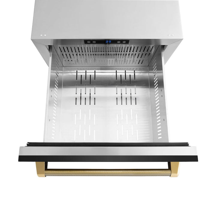 ZLINE Autograph Edition 24 in. Touchstone 168 Can Outdoor-Rated Dual Refrigerator Drawer with Black Stainless Steel Doors and Polished Gold Helix Handles (RDSOZ-BS-24-KG)