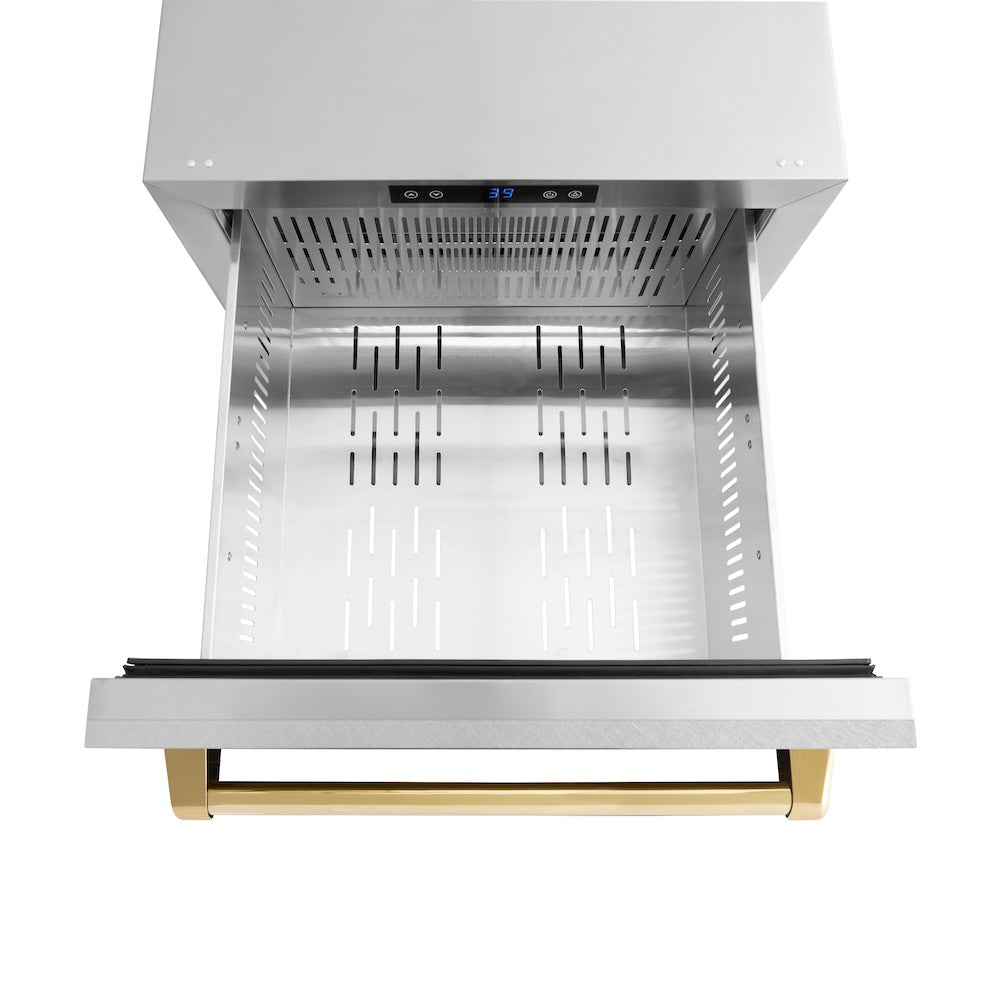 ZLINE Autograph Edition 24 in. Touchstone 168 Can Outdoor-Rated Dual Refrigerator Drawer with Satin Stainless Steel Doors and Polished Gold Handles (RDSOZ-SN-24-G)