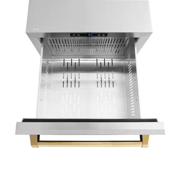 ZLINE Autograph Edition 24 in. Touchstone 168 Can Outdoor-Rated Dual Refrigerator Drawer with Satin Stainless Steel Doors and Polished Gold Handles (RDSOZ-SN-24-G)