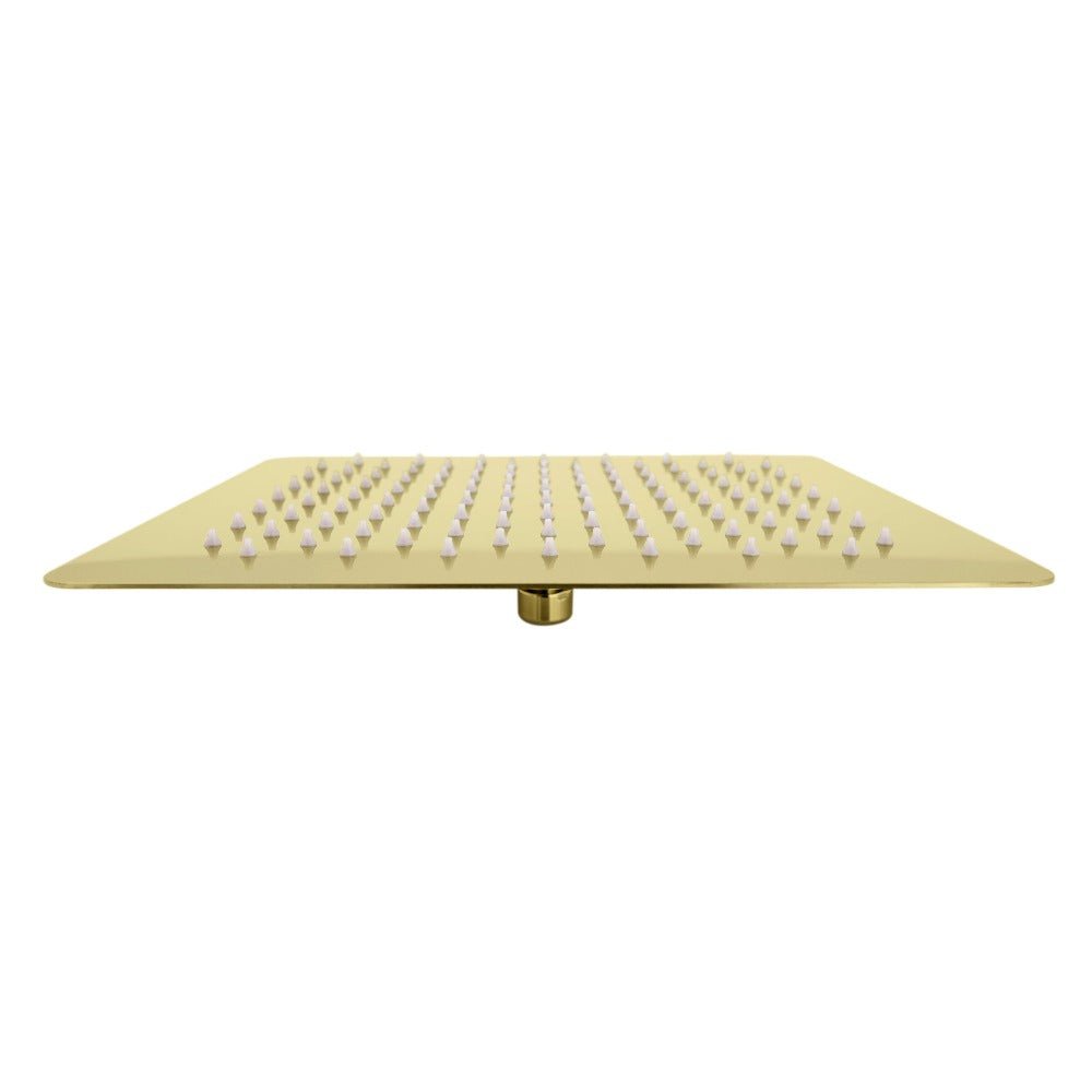 ZLINE Bliss 8 in. Rainfall Shower Head in Polished Gold (BLS-H8-PG)