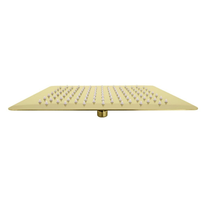 ZLINE Bliss 8 in. Rainfall Shower Head in Polished Gold (BLS-H8-PG)