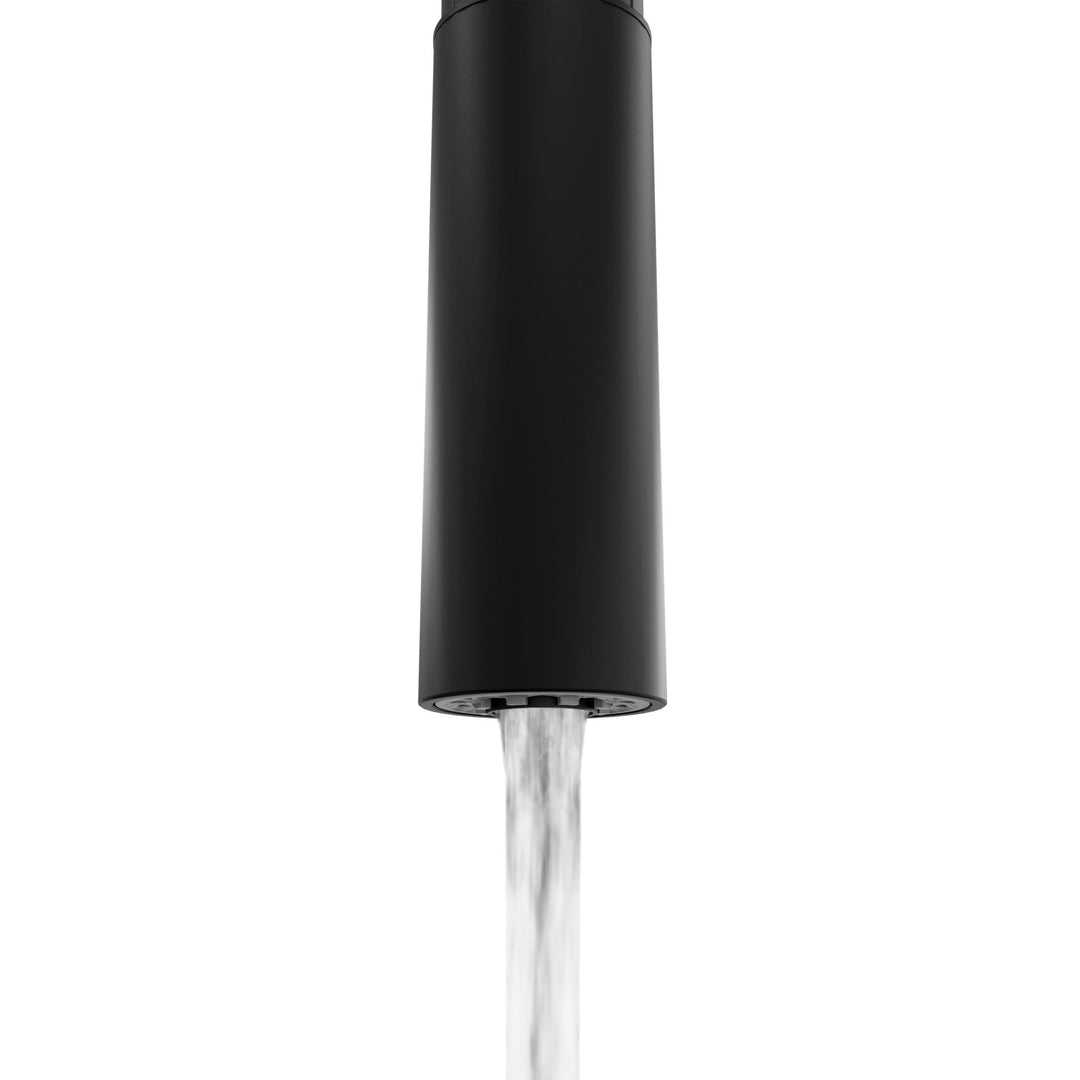ZLINE Palisades Pull Down Single Handle Kitchen Faucet in Matte Black (RBCN1-KF-MB)
